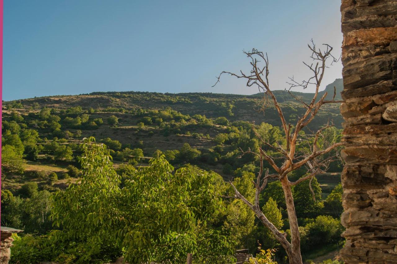 Casa-Huerto La Juana Villa Trevélez Dış mekan fotoğraf